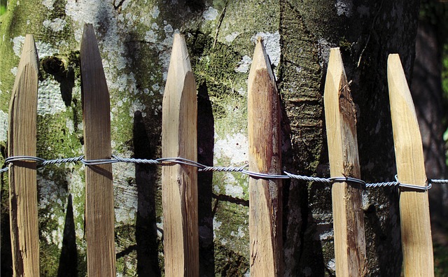 fences