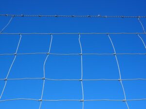 fences-640x480-47687503.jpeg