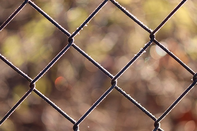 fences