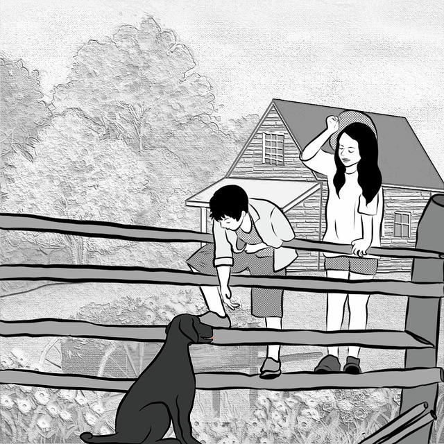 fences