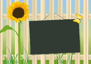 fences-640x480-61892834.png