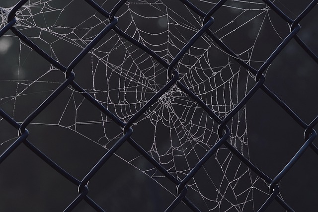 fences