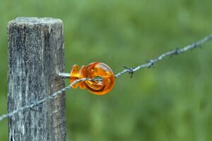 fences-640x480-83898457.jpeg