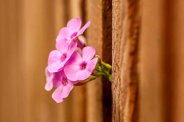 fences