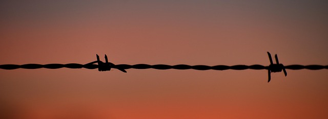 fences
