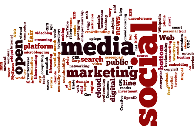 houston-seo-company-640x480-33114375.png