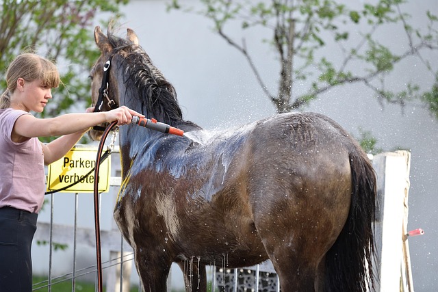 pressure-wash-640x480-92088527.jpeg