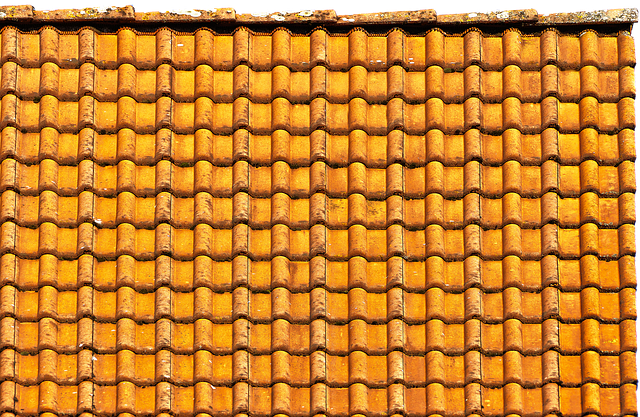 roofers
