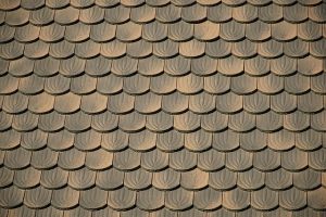 roofing-roofer-640x480-8496342.jpeg