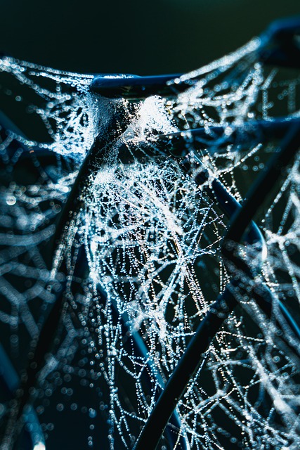 chain-link fence