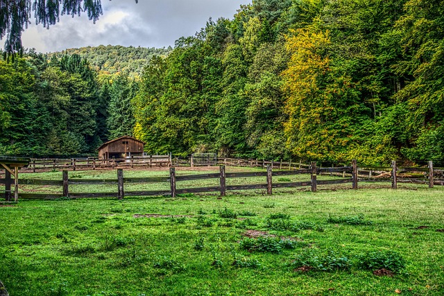 Fence