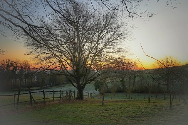Fence