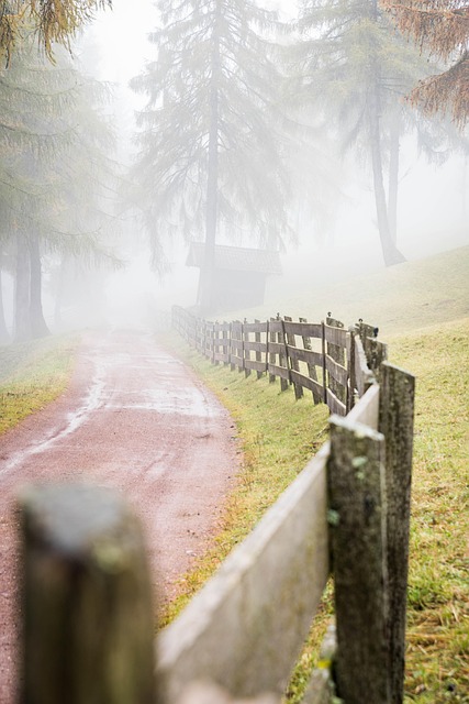 Fence