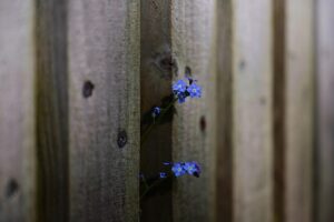 fence-contractors-near-me-640x480-15298529.jpeg