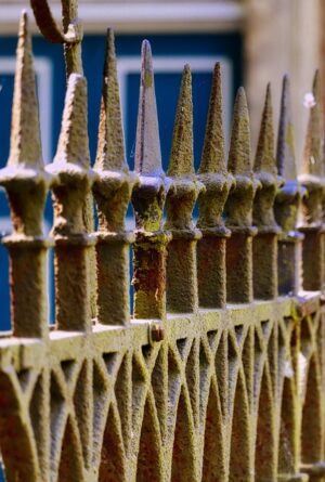 fences-640x480-22732225.jpeg