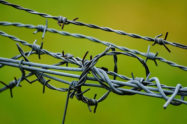 fences