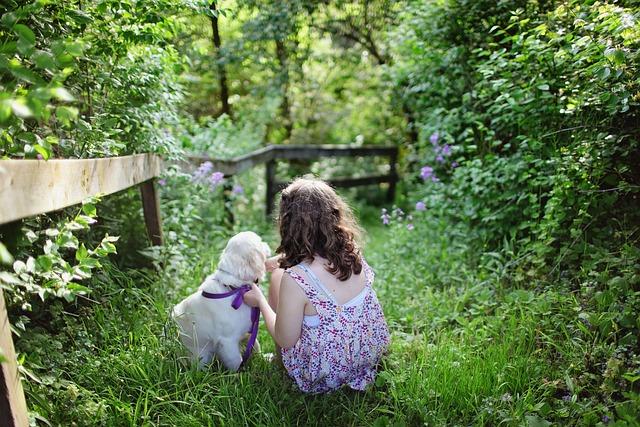 fences-640x480-88716076.jpeg