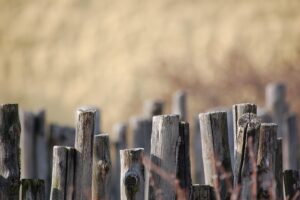fences-640x480-90372540.jpeg