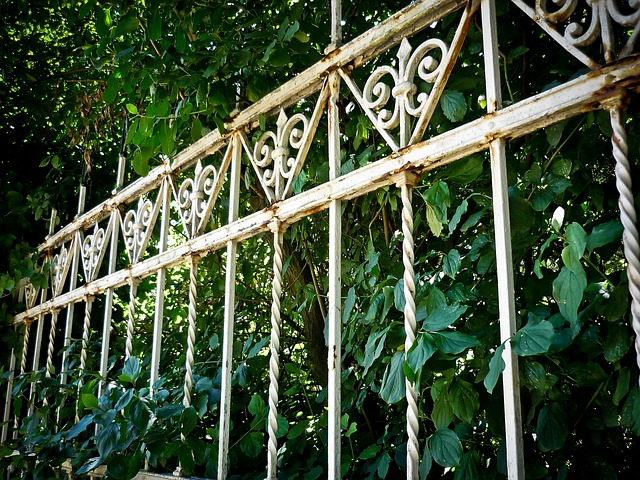 iron fence
