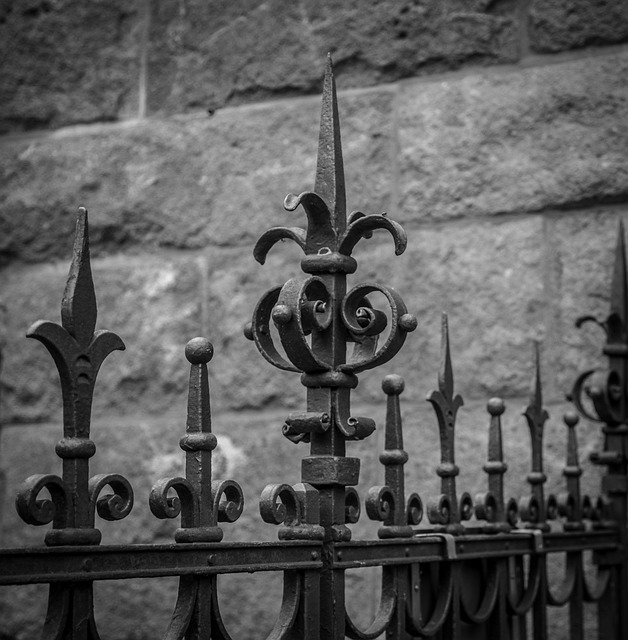 iron fence