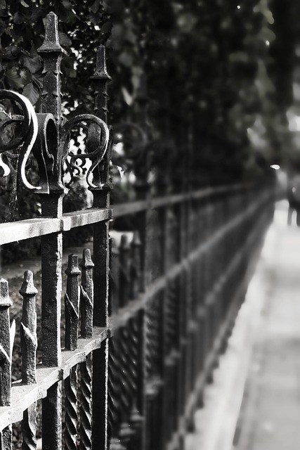iron fence