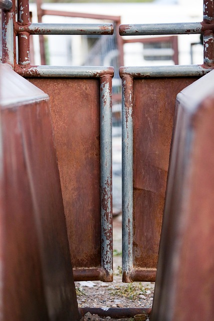 iron fence