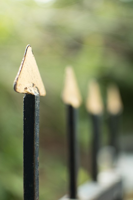iron fence