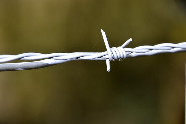 iron fence