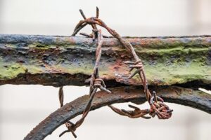 iron-fence-640x480-94825124.jpeg
