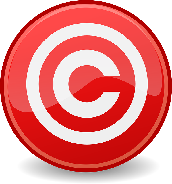 The Woodlands Criminal Lawyer: Mastering Plea Bargaining and Charge Reduction Tactics