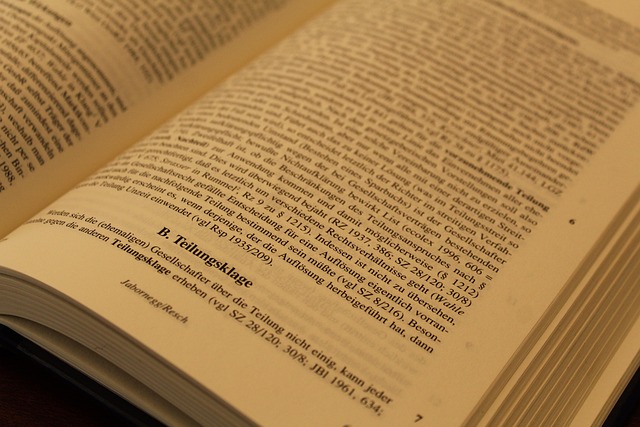 Uncovering Evidence and Fortifying Defenses: The Woodland Criminal Lawyer’s Role