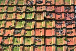 roofing-640x480-42914292.jpeg