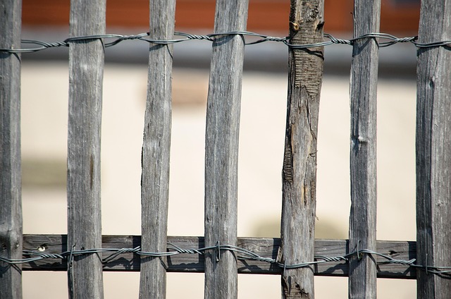 wooden fencing