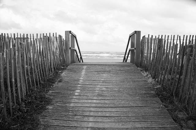 wooden fencing