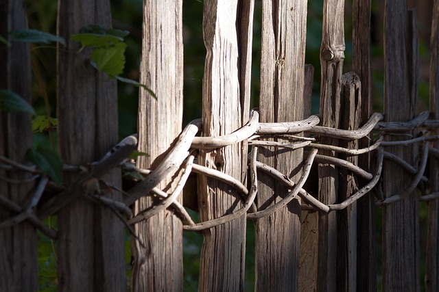 wooden fencing