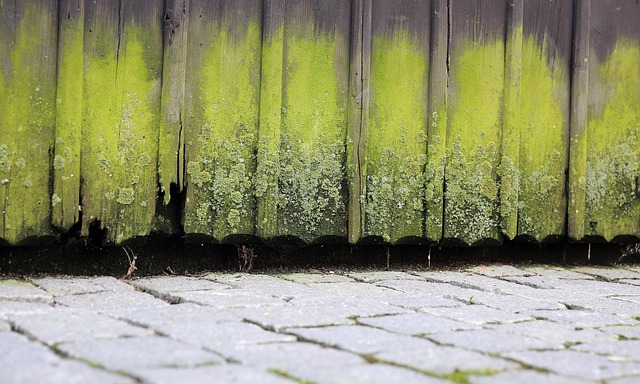 broken fence