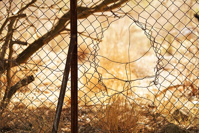 broken fence