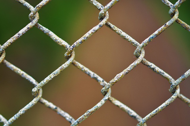 chain-link fence