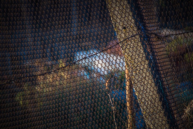 chain-link fencing