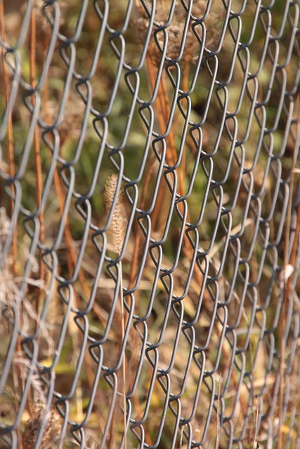 chain-link fencing