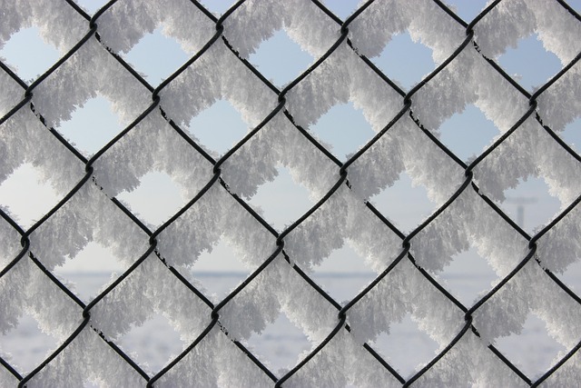 chain-link fencing