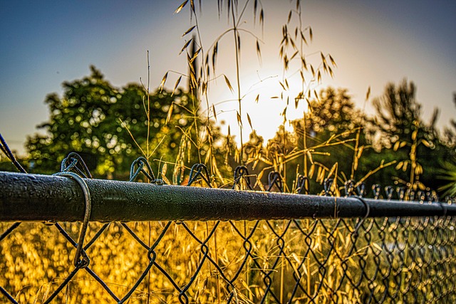 chain-link fencing