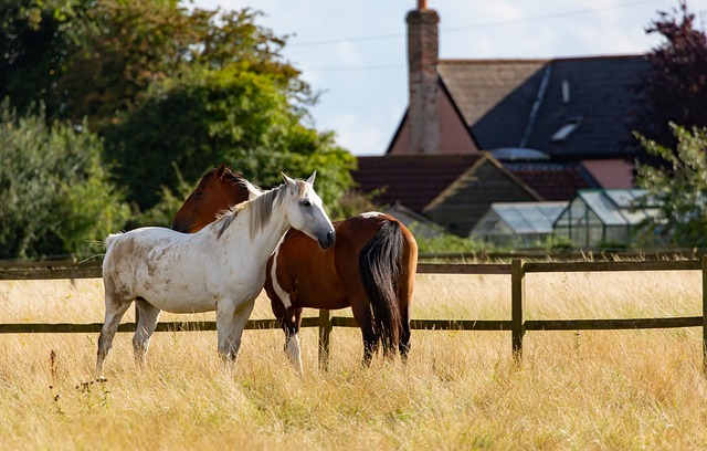 commercial fence