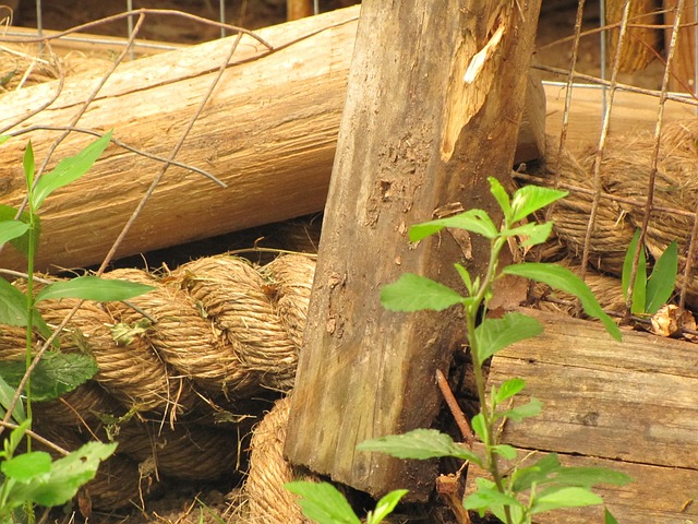damaged wood fence