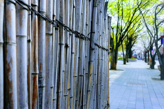 damaged wood fence