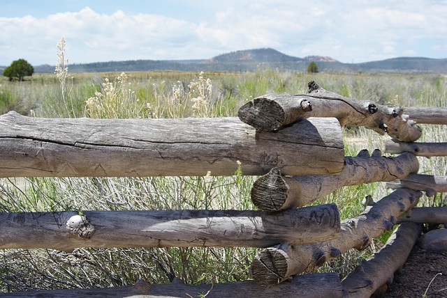 damaged wood fence
