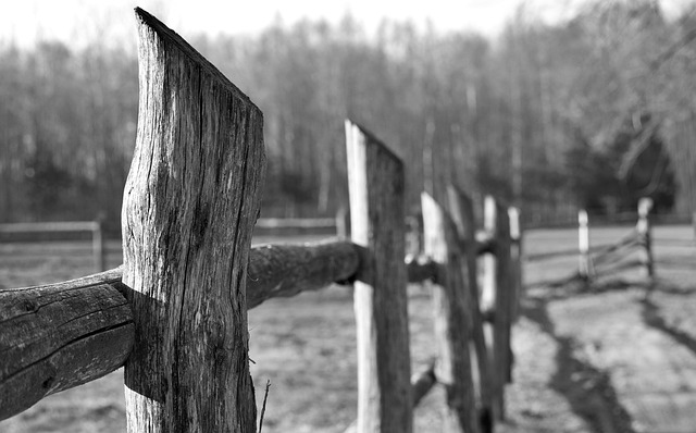 damaged wood fence