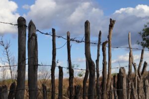 damaged-wood-fence-640x480-43819932.jpeg