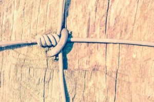 damaged-wood-fence-640x480-5727278.jpeg