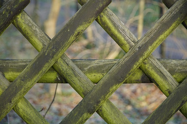 damaged wood fence